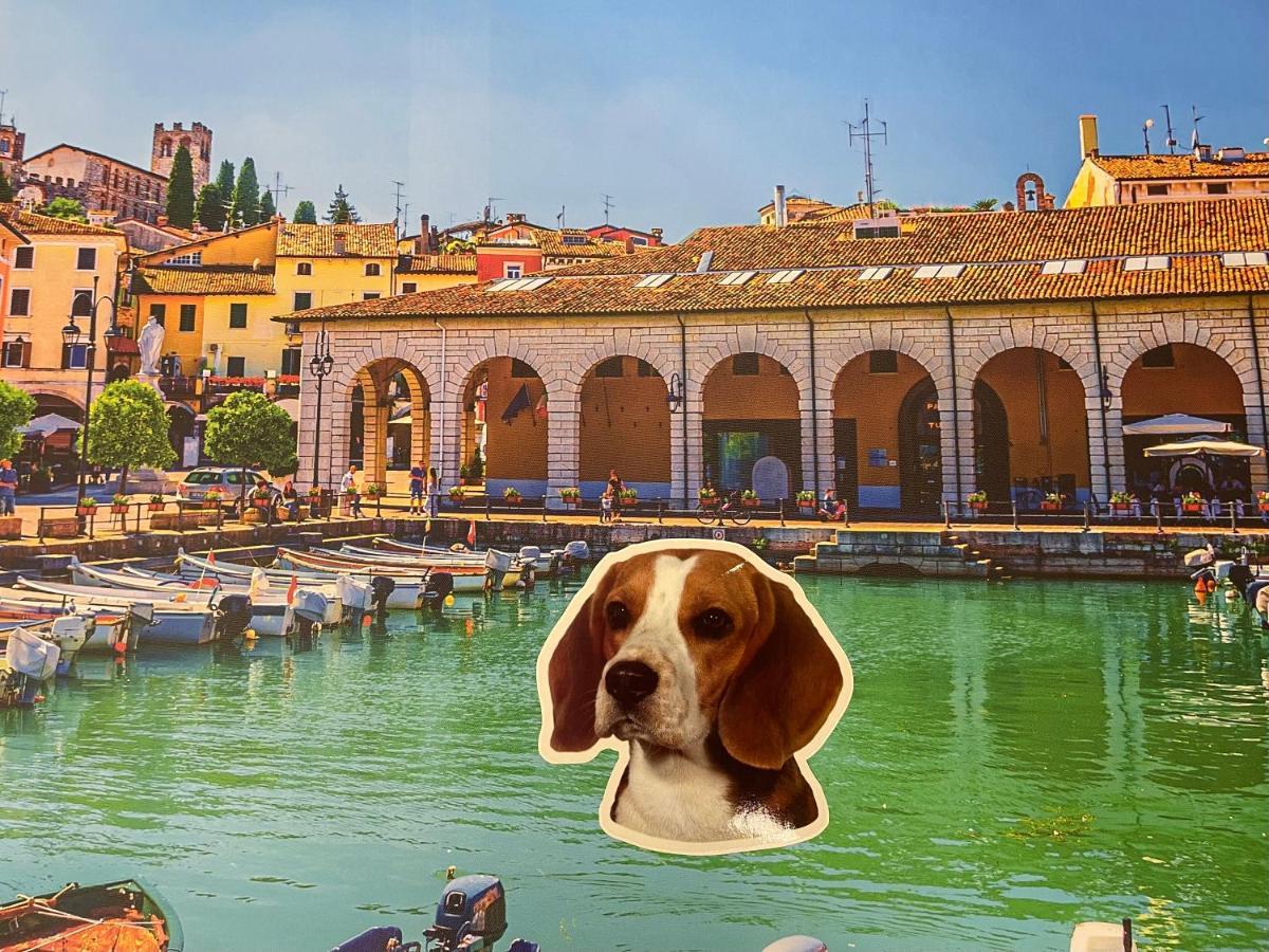 Desenzanoloft Blue Lake Star Apartment Desenzano del Garda Luaran gambar